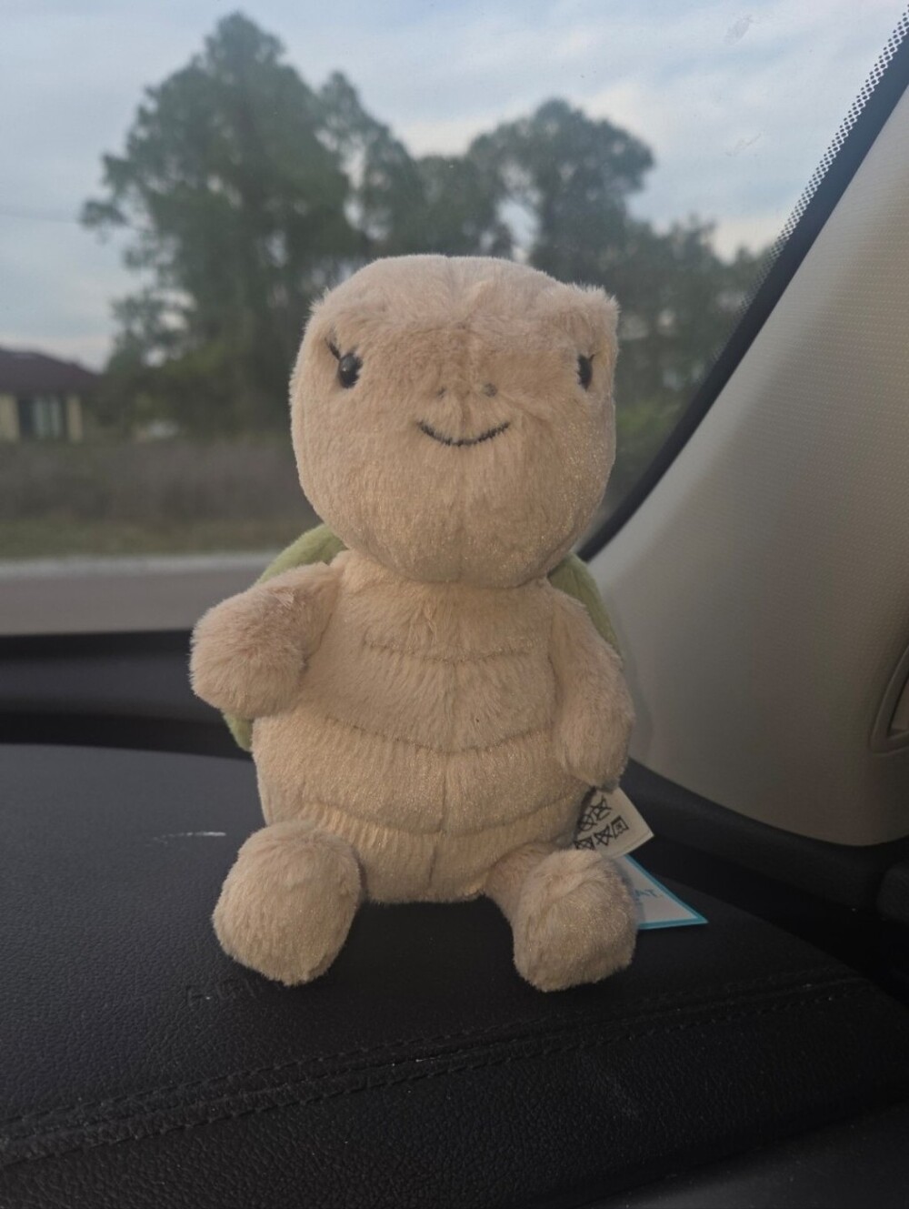 Jellycat Thimble Turtle Soft & Plush BNWT Authentic